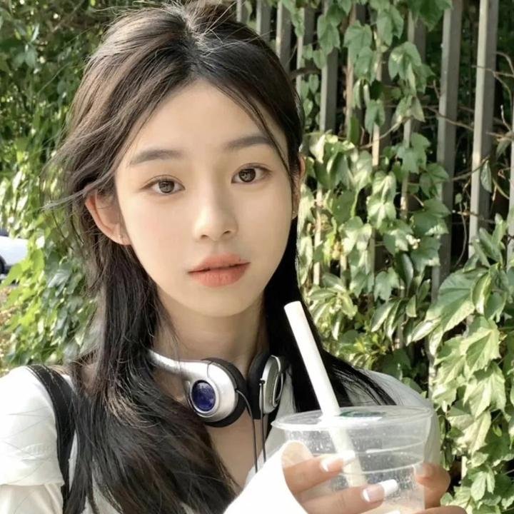 帕奥精神:凤凰高飞